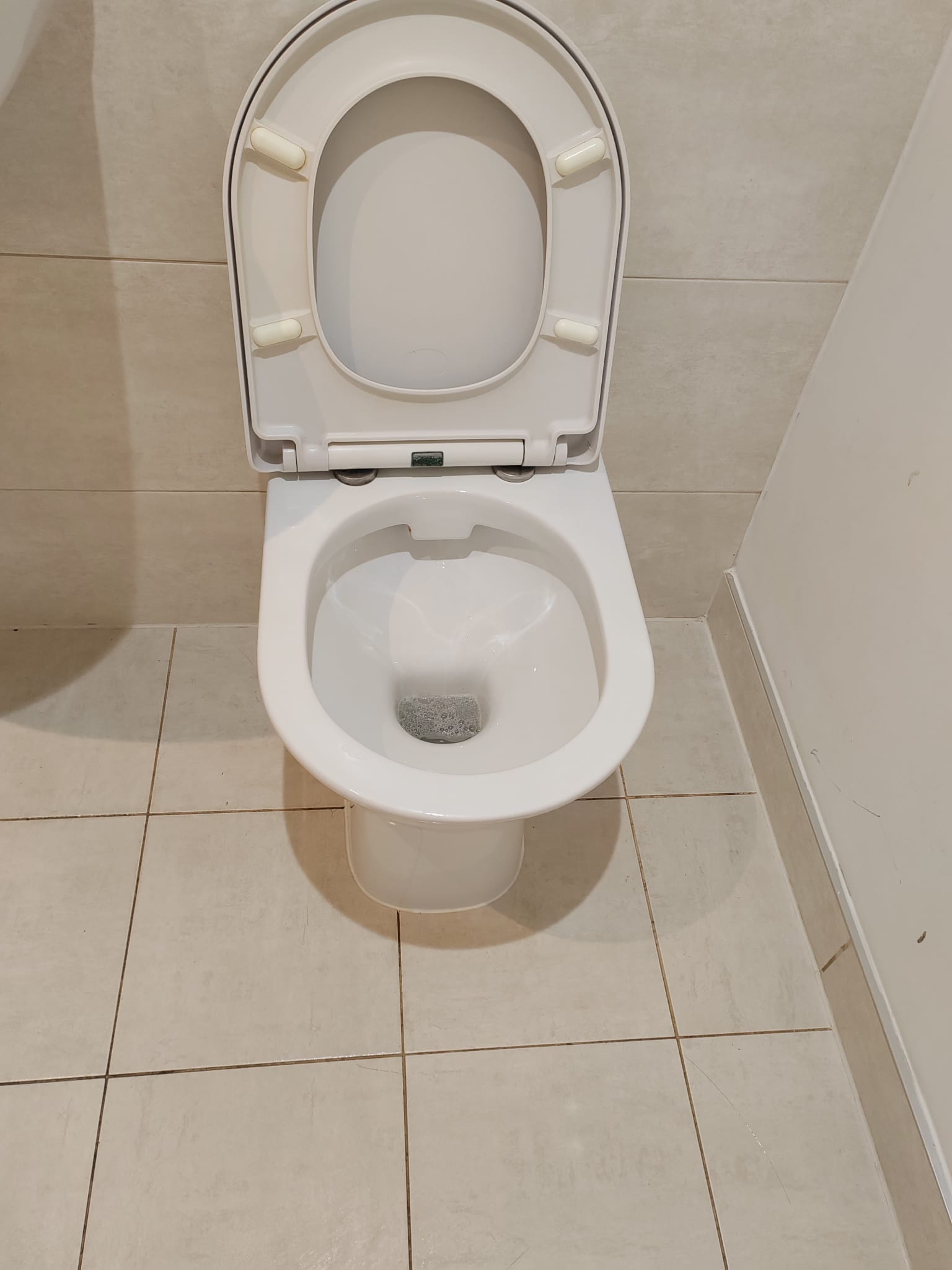 Same toilet bowl fully descaled and cleaned after the visit
