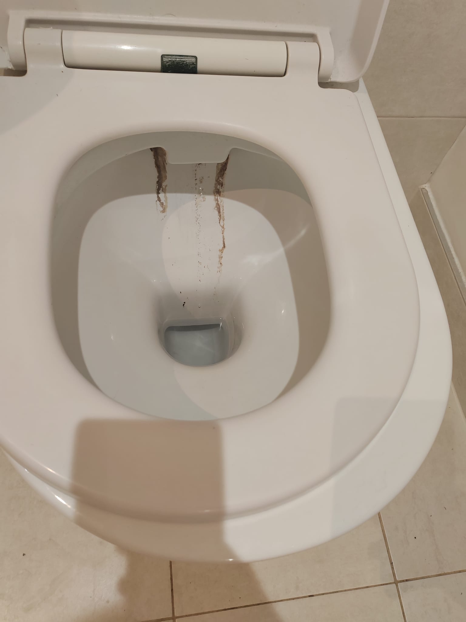 Toilet bowl with limescale staining before an end of tenancy clean in Reading